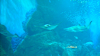 DSCN0968_thumb.png