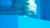 DSCN0971_thumb.png