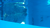 DSCN0972_thumb.png