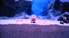 DSCN0979_thumb.png