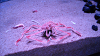 DSCN0980_thumb.png