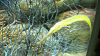 DSCN0984_thumb.png