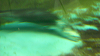 DSCN1003_thumb.png