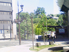 NEC_0030_thumb.png