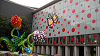 DSCN1516_thumb.png