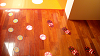 DSCN1518_thumb.png