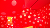DSCN1521_thumb.png