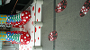 DSCN1525_thumb.png
