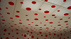 DSCN1532_thumb.png