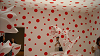 DSCN1534_thumb.png